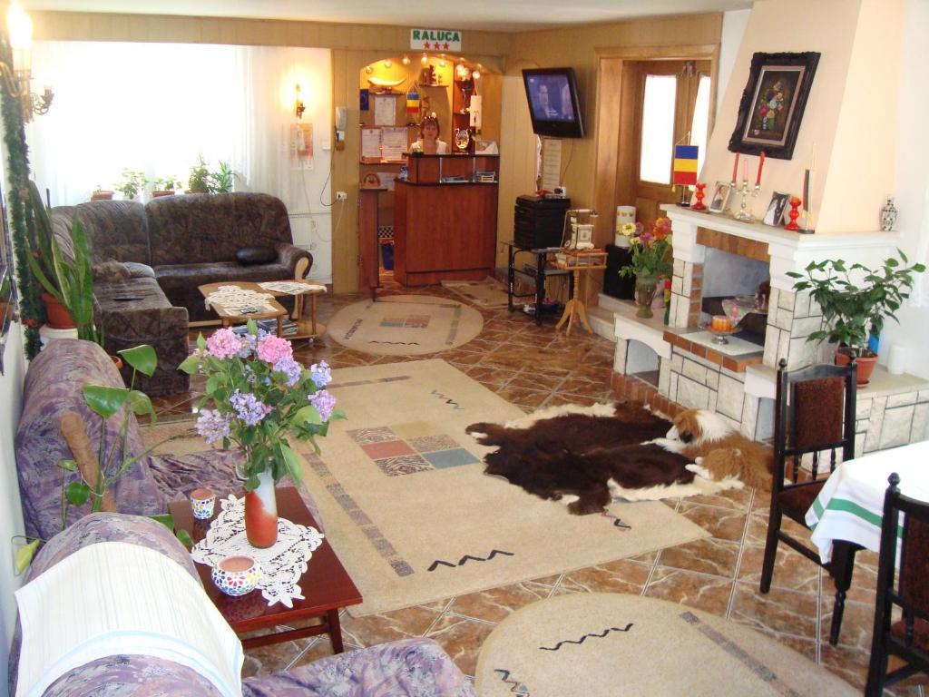 Pension Raluca Sinaia Extérieur photo